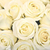 Soft White Sweetheart Roses