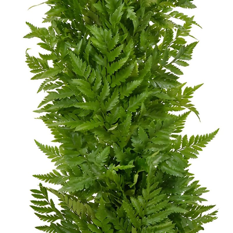Artificial Mixed Fern Garland in Green - 5' Long