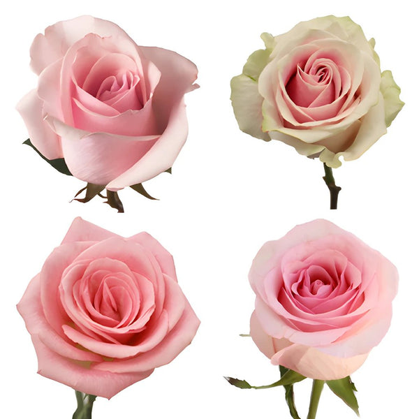 Wholesale Giant Foam Flowers To Decorate Your Environment