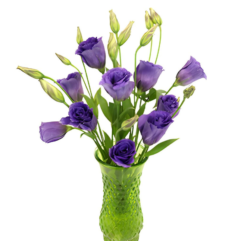 Balboa Purple Lisianthus Wholesale Flower In a vase