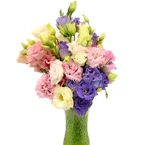 Farm Choice Frill Lisianthus Wholesale Flower In a vase