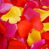 Bright Sorbet Fresh Rose Petals