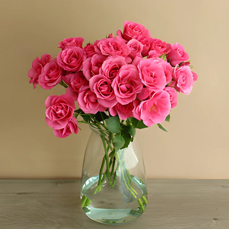 Lovely Lydia Dark Pink Wholesale Roses In a vase