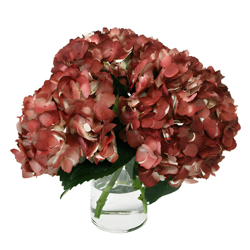 Marsala Airbrushed Hydrangea Flower In a vase