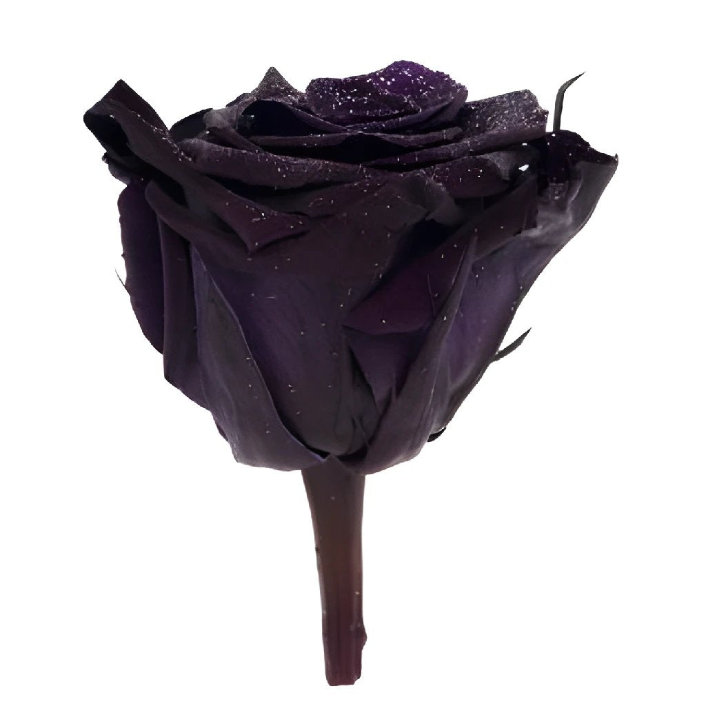 Preserved Metalized Deep Purple Rose