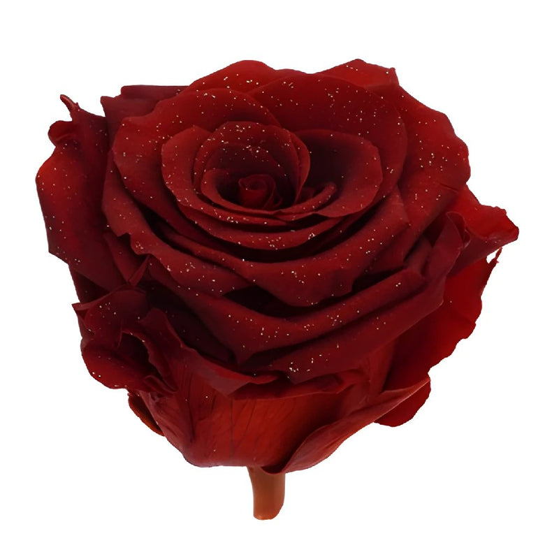 Preserved Metalized Deep Red Rose