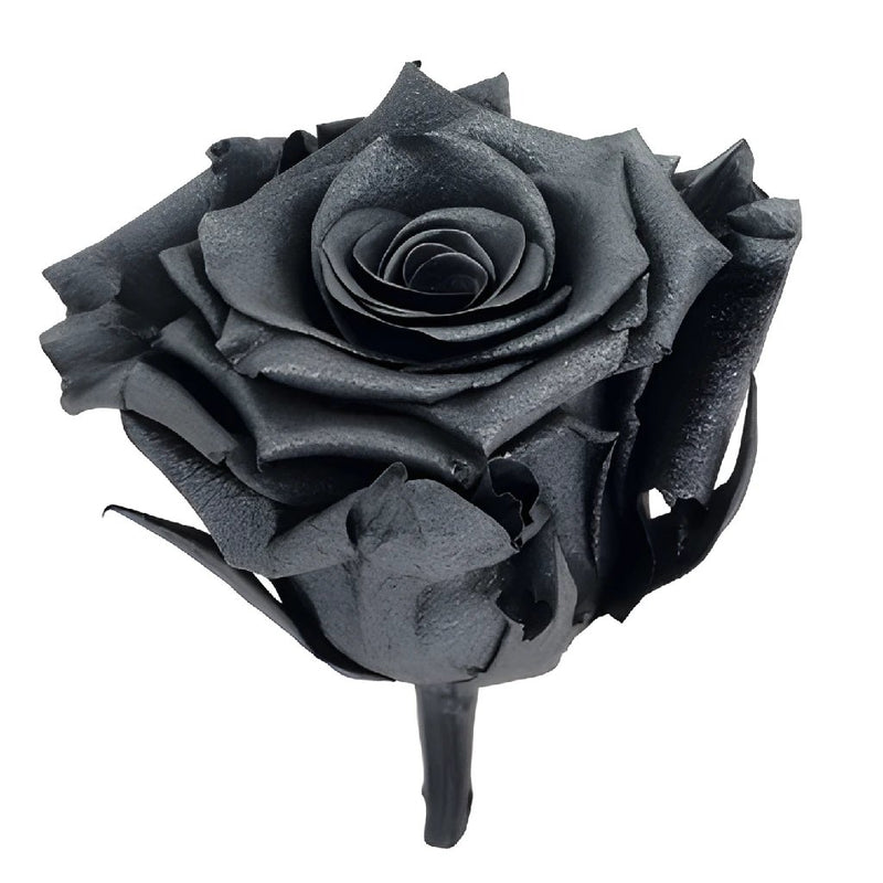 Preserved Metalized Deep Silver Rose