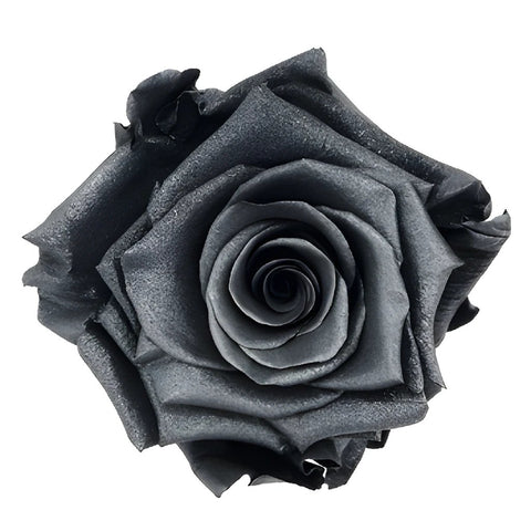Preserved Metalized Deep Silver Rose