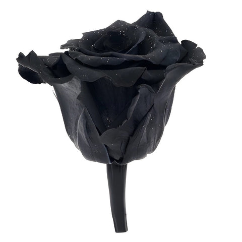 Preserved Metalized Night Black Rose