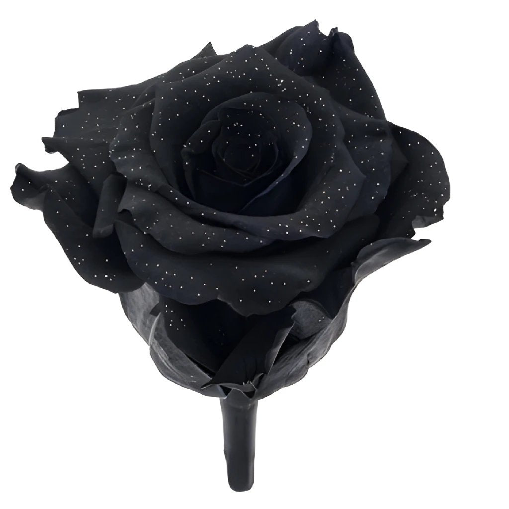 Black roses online