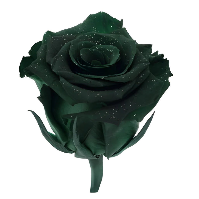 Preserved Metalized Olive Green Rose