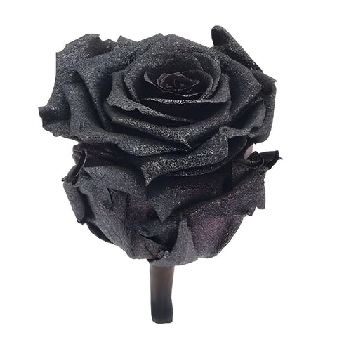 Preserved Metalized Silver Intense Rose