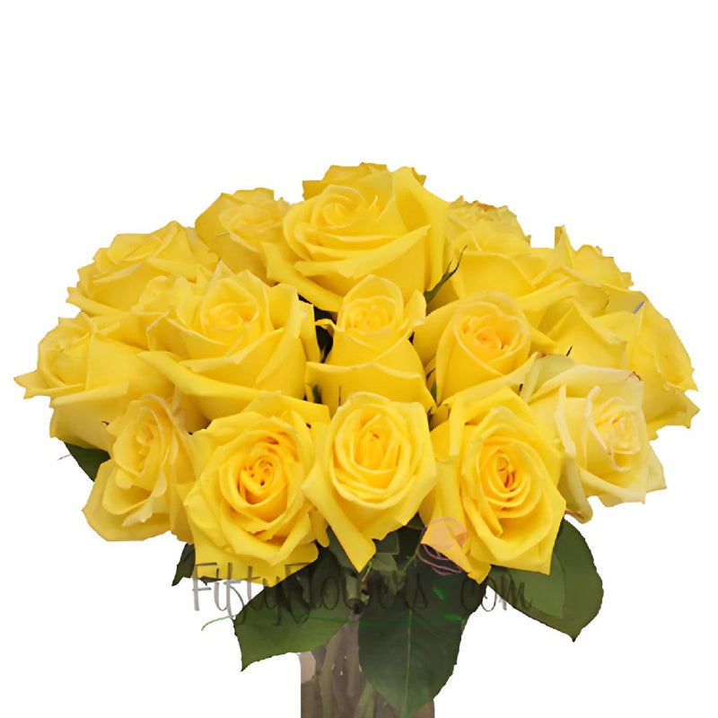 Mohana Yellow Fresh Cut Roses
