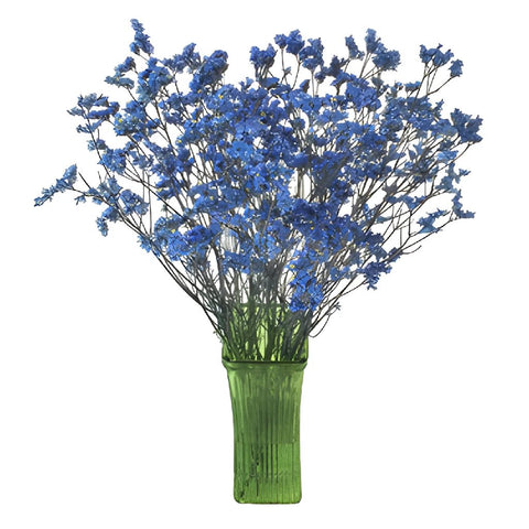 Blue Limonium Filler Flower