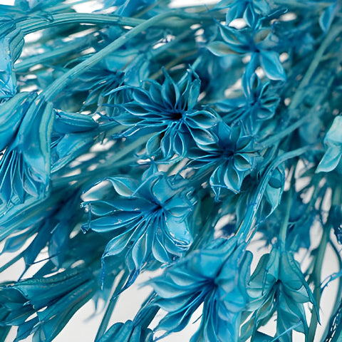 Blue Dried Nigella Pods