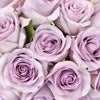 Lavender Ocean Sweetheart Roses