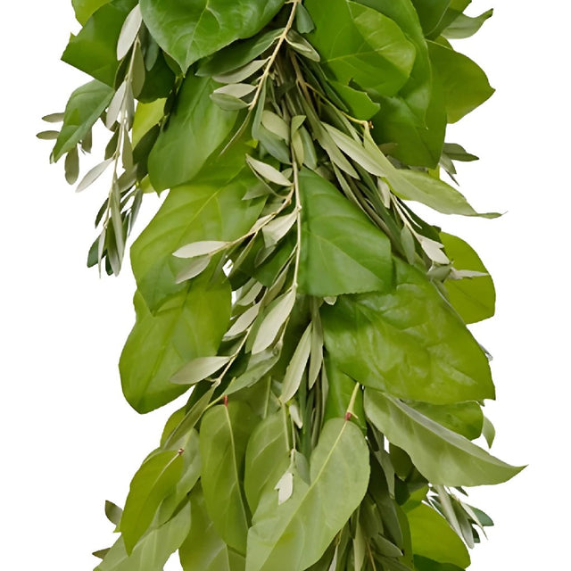 Buy Wholesale Olive and Salal Greens Garland in Bulk - FiftyFlowers