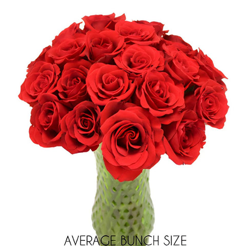 Plush Red Sweetheart Roses