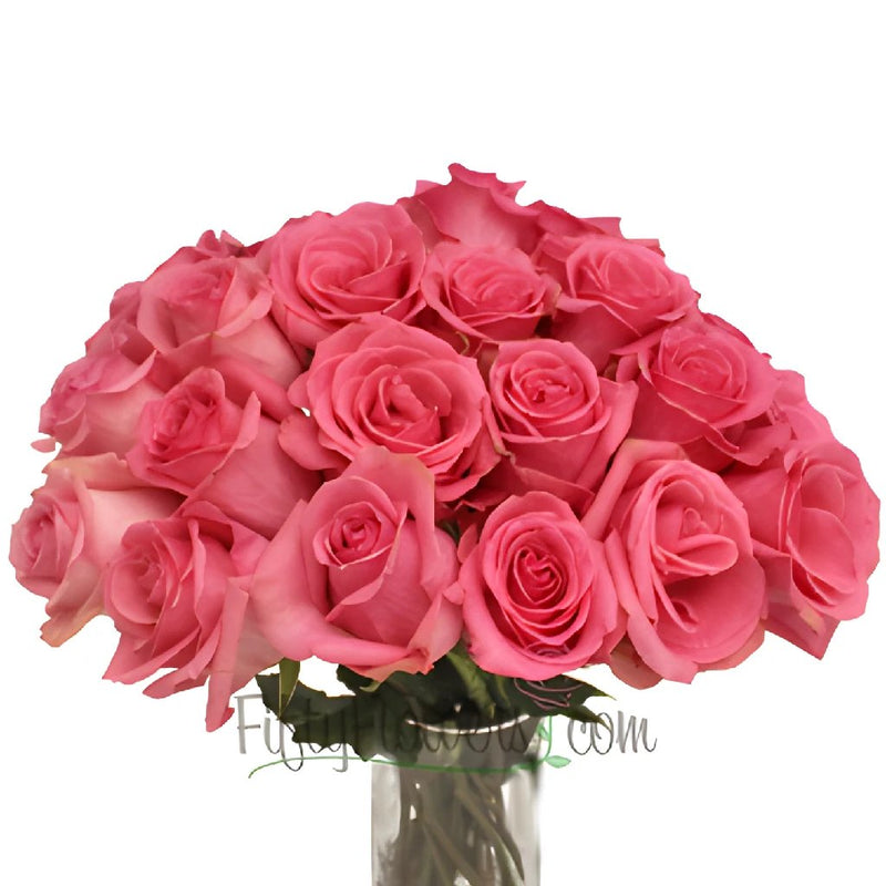 Pavarotti Medium Pink Rose