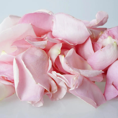 Light Pink Real Roses Petals