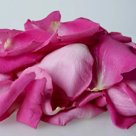 Fresh Rose Petal Hot Pink in Bulk