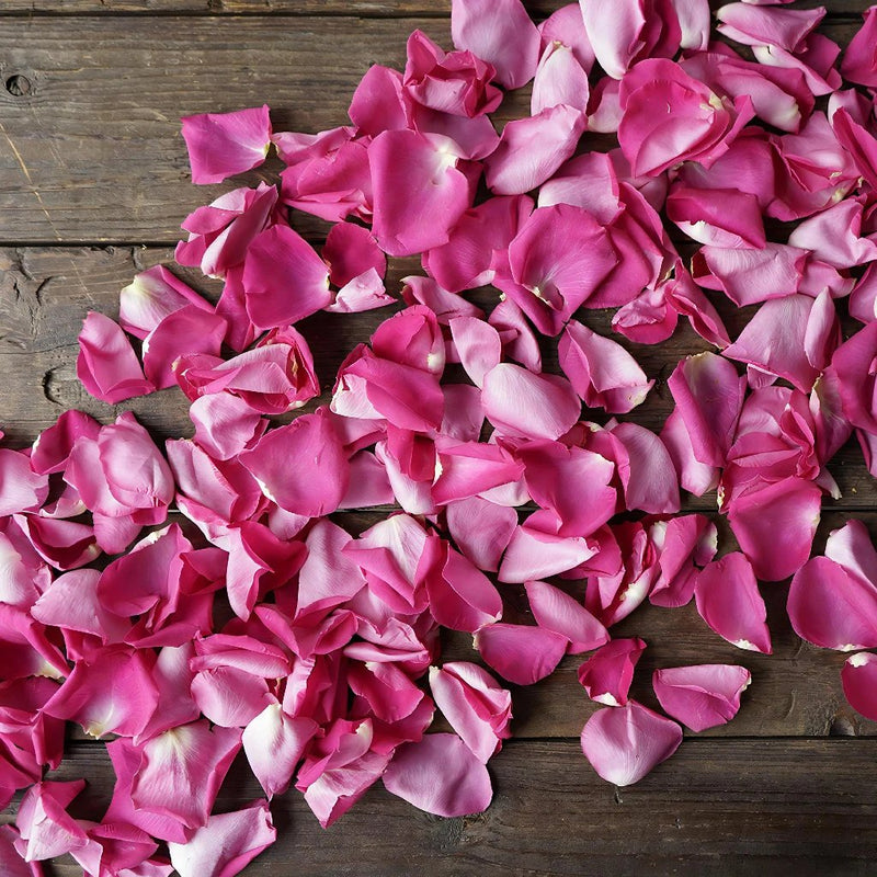 Buy Wholesale Pinky Purple Fresh Rose Petals in Bulk - FiftyFlowers