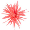 Pink Coral Reef Airbrushed Spider Mum