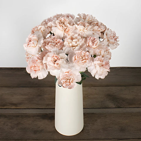 Faith Pink Carnation Flowers In a vase