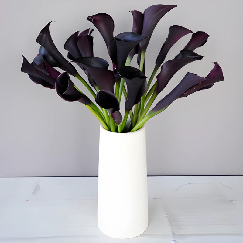 20 Pcs Black Artificial Flowers Real Touch Calla Lily Flowers for DIY  Bridal