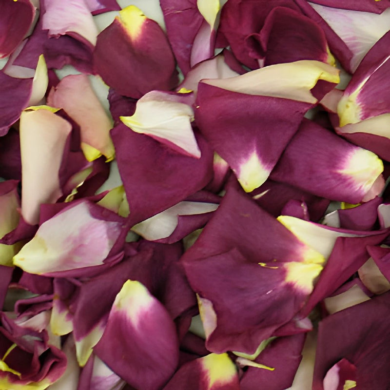 Plum Dried Rose Petals