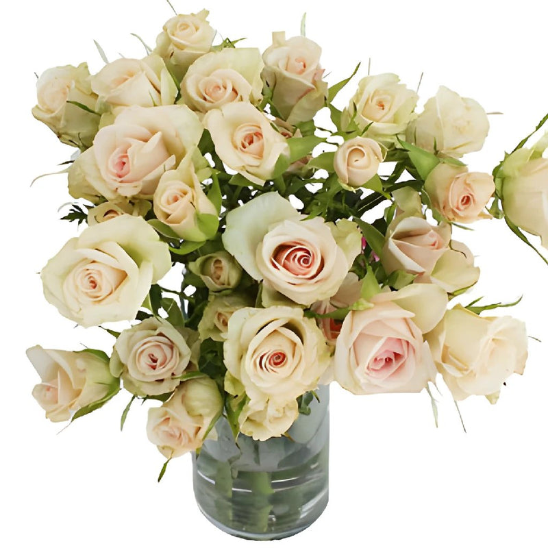 Porcelina Blush Pink Wholesale Roses In a vase
