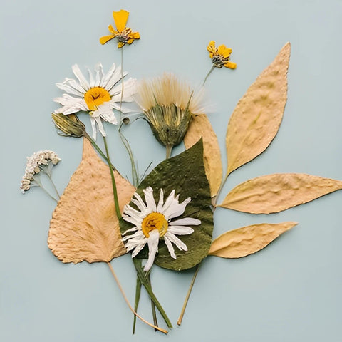 Choose Your Own Pressed Flower Kit