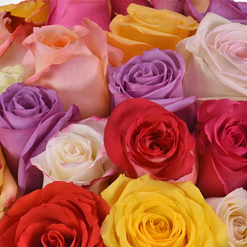 Rainbow Bunch Assorted Roses
