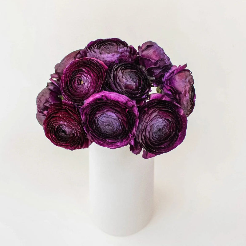 Violet Ranunculus Wholesale Flower In a vase