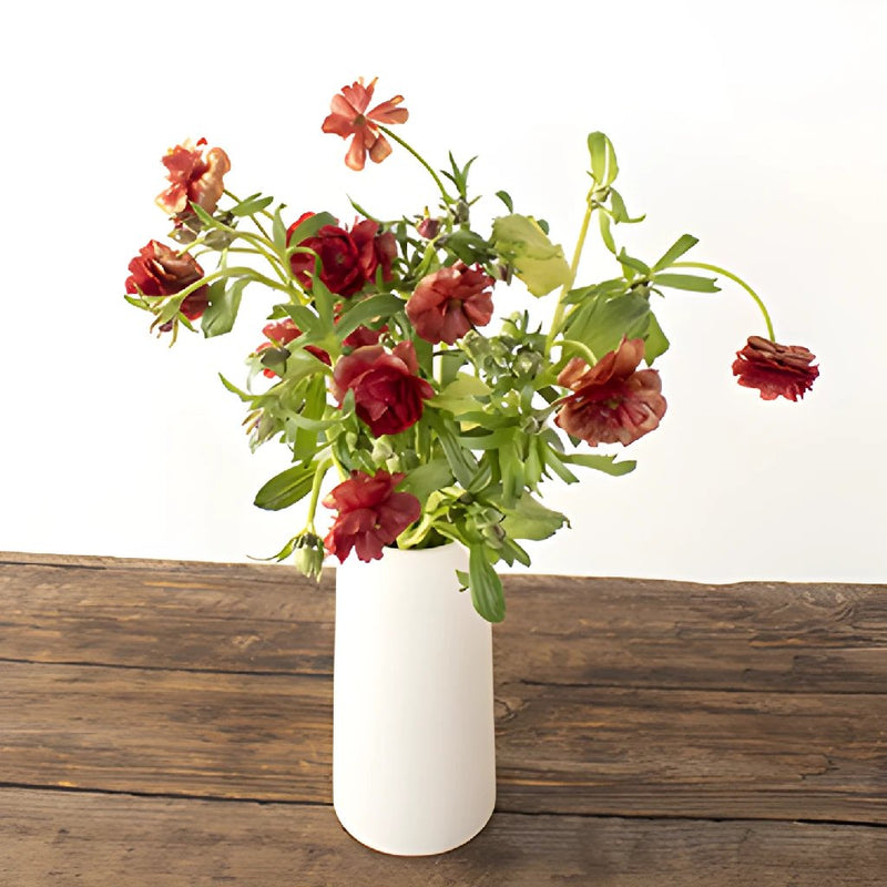 Hades Red Butterfly Ranunculus Wholesale Flower In a vase