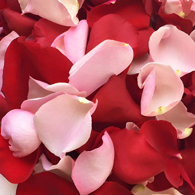 Lovely Dried Rose Petals