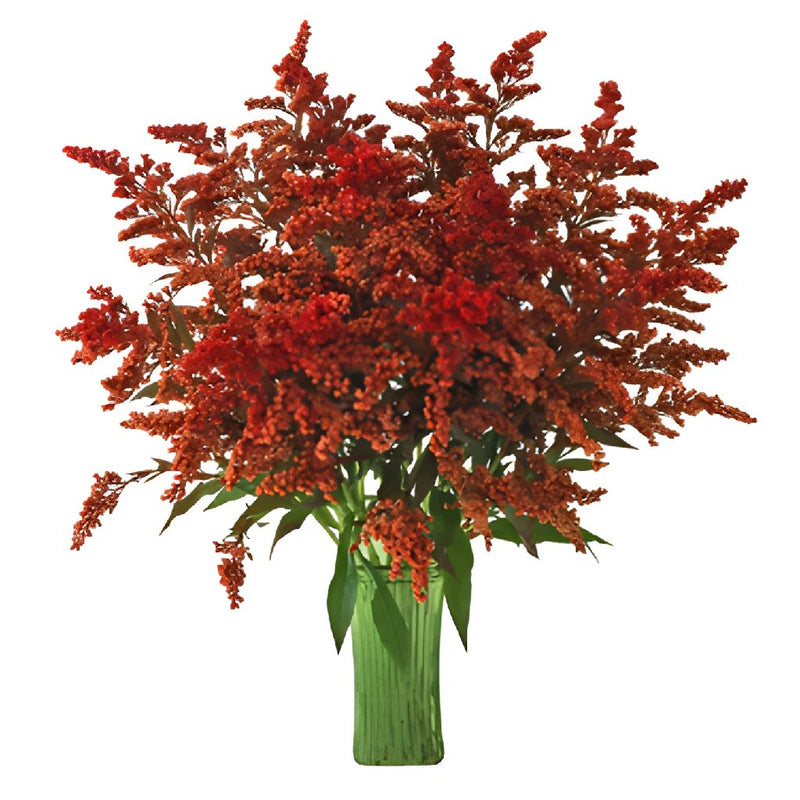 Enhanced Red Estelle Filler Flower