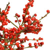 Red Ilex Berry Branches