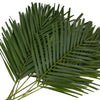 Robellini Phoenix Green Palms
