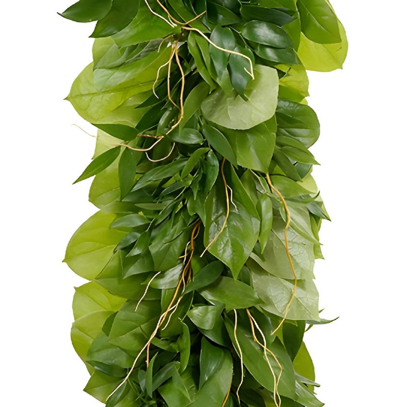 Salal and Italian Ruscus Greens with Curly Tips Garland
