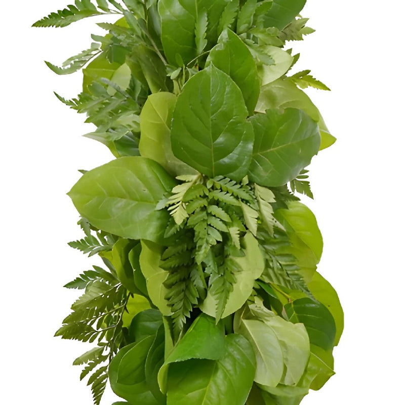 Salal and Leather Leaf Greens Garland