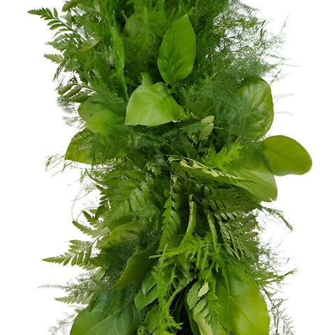 Salal, Plumosa and Leather Leaf Greens Garland