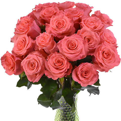 Valentine's Salmon Pink Rose Special