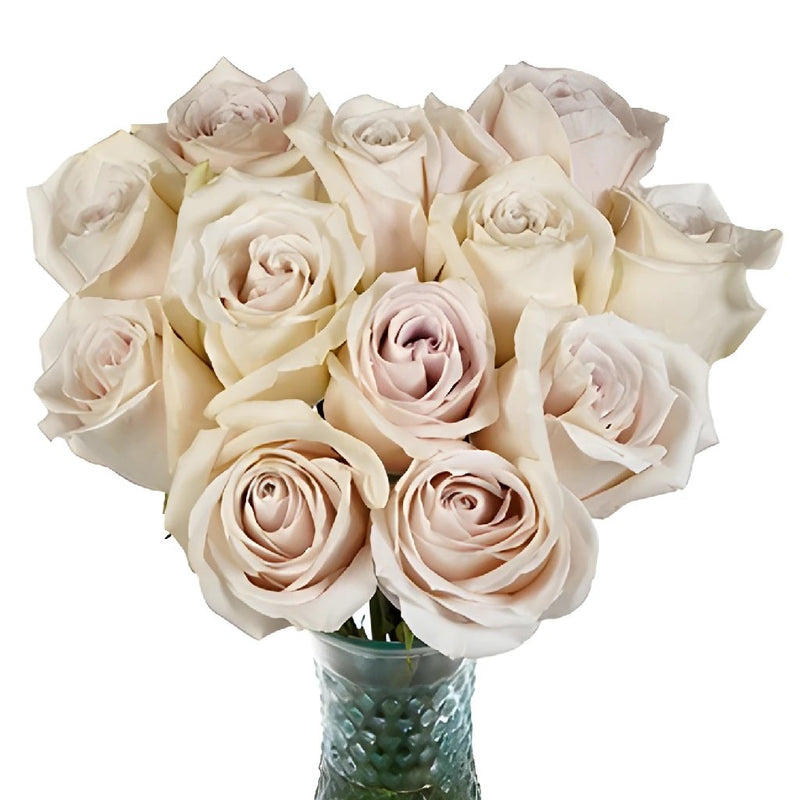 Abbie Home Bridal Bouquet - 9 inches Dusty Pink Champagne Roses