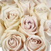 Blushing Beige Rose