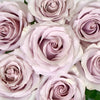 Mirror Ball Lavender Rose