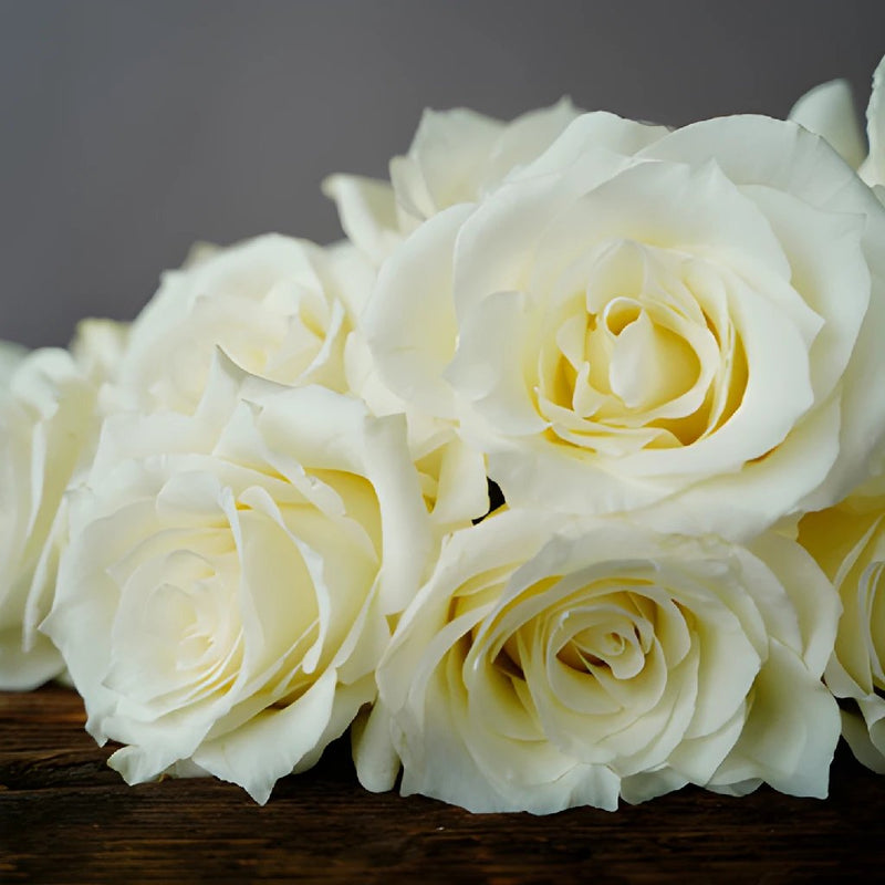 Valentines White Rose Special