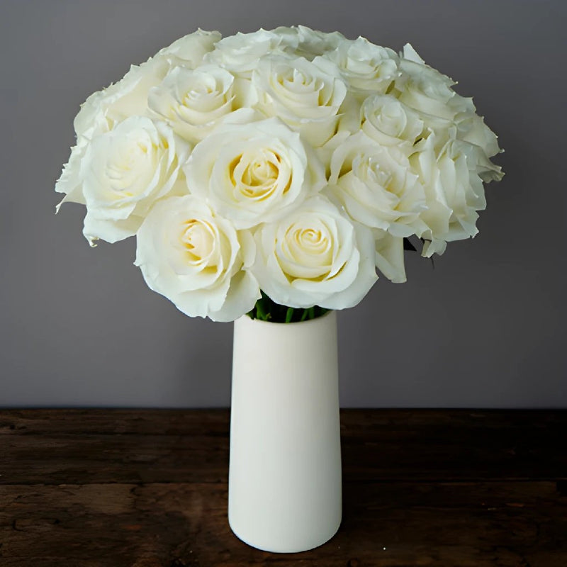 Snow Bill Roses buy Wholesale