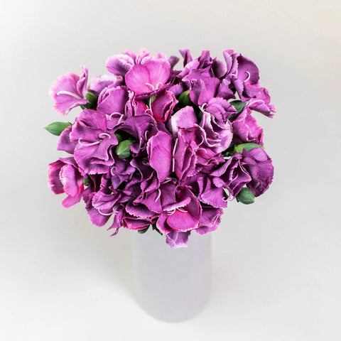 Purple Solomio Bono Wholesale Flower Bunch In a Vase