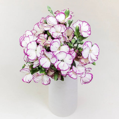 Purple and White Wholesale Flowers In a Vase